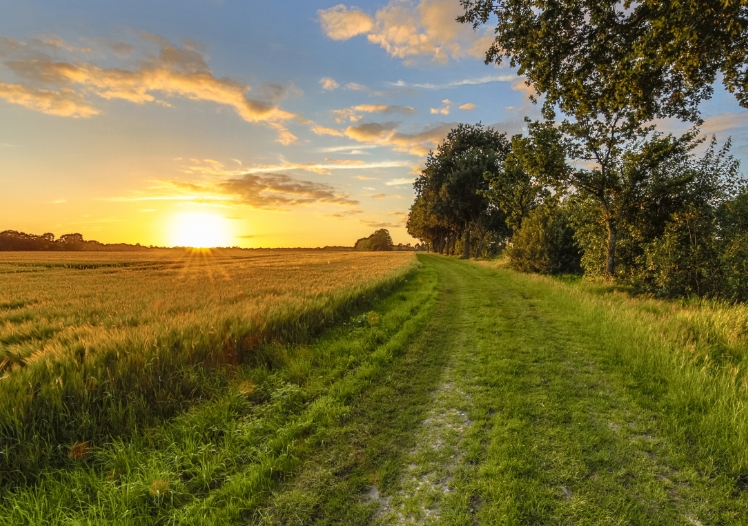 Land Prices 1
