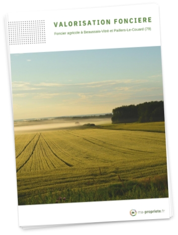 Land Prices 1