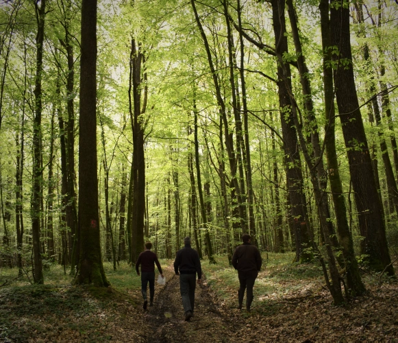 Photos 1 - Foncière - Parts du plus important Groupement Forestier Français