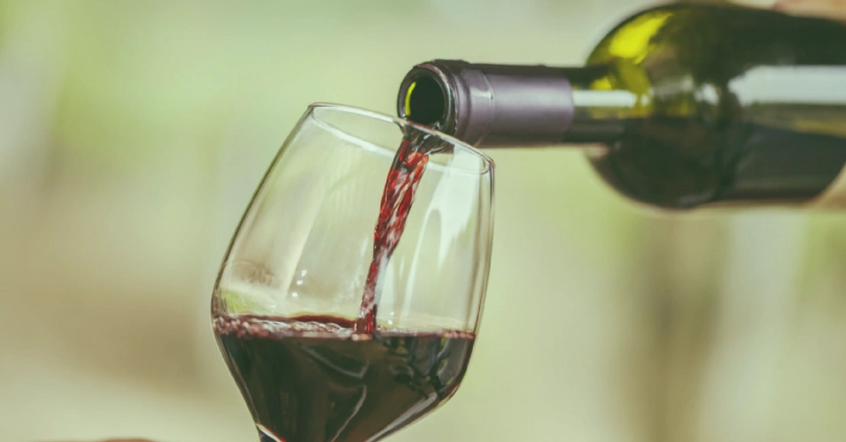 Photos 3 - Foncière - Parts de vignes dans le Bordelais à partir de 1300€