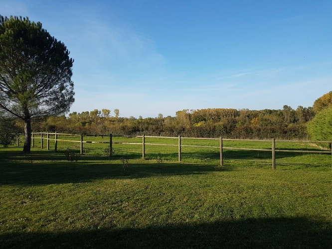 Photos 8 - Équestre - Propriété équestre 470m² - au coeur du Marais Poitevin