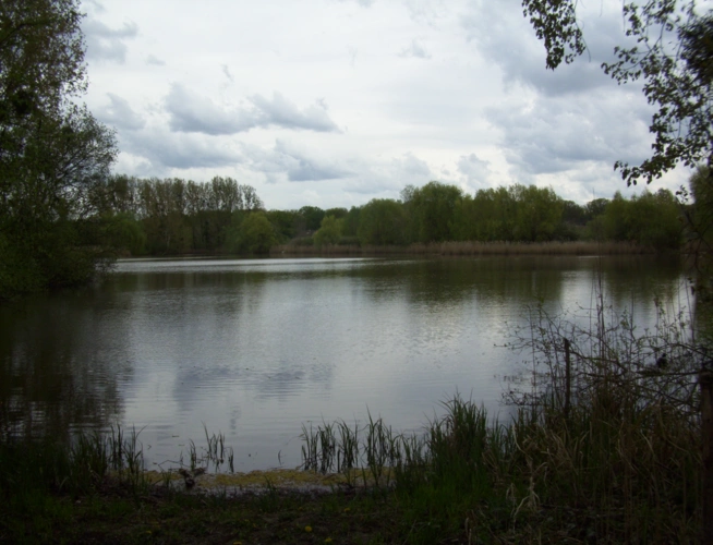 Photos 2 - Forestière - Propriété de 16 Ha avec deux étangs