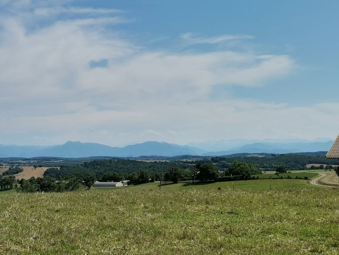 Photos 2 - Équestre - VENTE ou VIAGER exploitation agricole