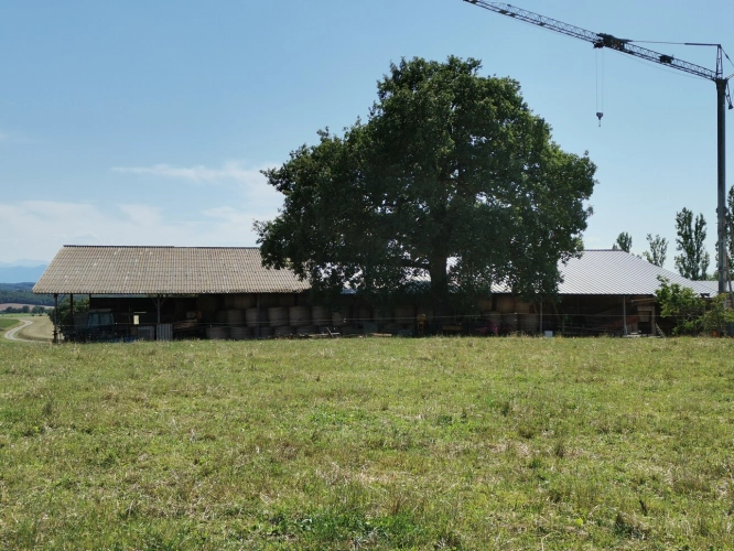 Photos 4 - Équestre - VENTE ou VIAGER exploitation agricole