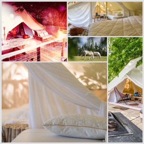 Photos 2 - Equestrian - Estate with unusual accommodation