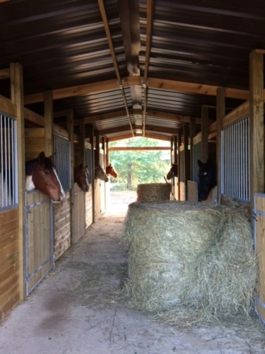 Photos 5 - Equestrian - Estate with unusual accommodation