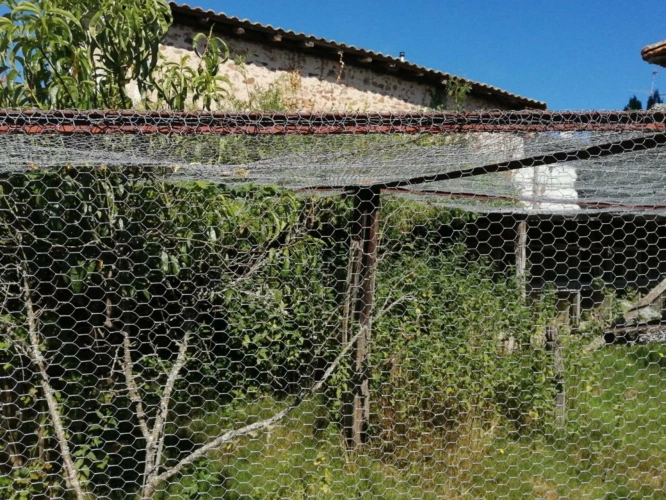 Photos 13 - Touristique - Maison de hameau