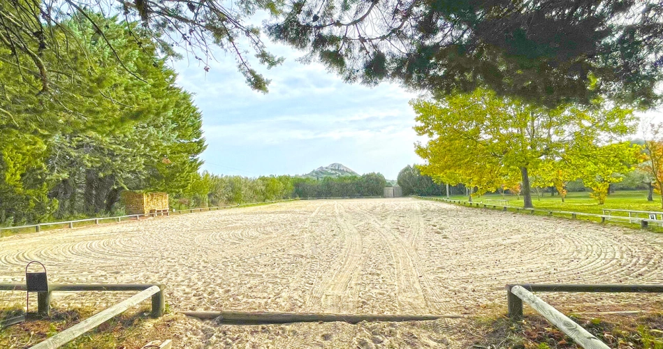 Photos 7 - Équestre - Provence – Belle demeure avec dépendances & installations équestres