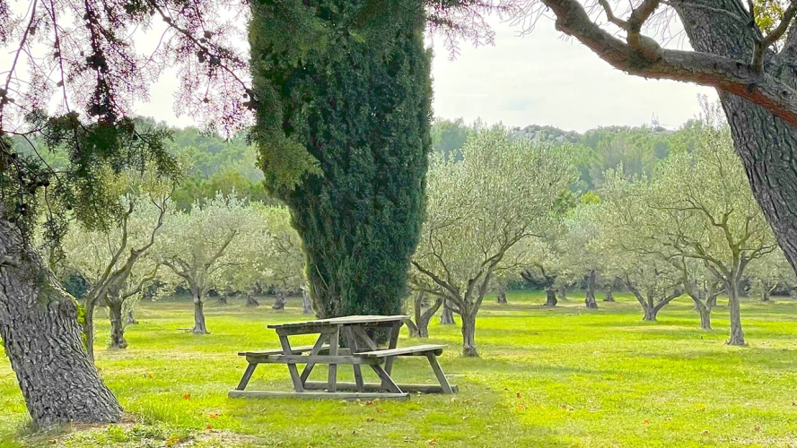 Photos 9 - Équestre - Provence – Belle demeure avec dépendances & installations équestres