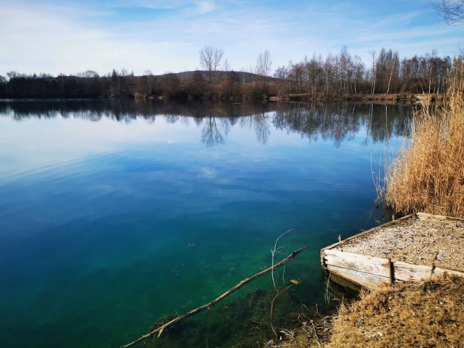 Photos 1 - Foncière - Camp de pêche à la carpe de 13,7 ha dont un étang d'environ 10 ha-à vendre en Bourgogne (89)amp