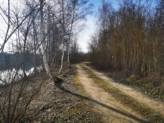 Photos 2 - Foncière - Camp de pêche à la carpe de 13,7 ha dont un étang d'environ 10 ha-à vendre en Bourgogne (89)amp