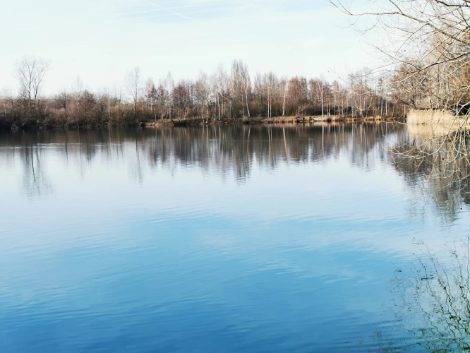 Photos 3 - Foncière - Camp de pêche à la carpe de 13,7 ha dont un étang d'environ 10 ha-à vendre en Bourgogne (89)amp