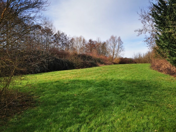 Photos 6 - Foncière - Camp de pêche à la carpe de 13,7 ha dont un étang d'environ 10 ha-à vendre en Bourgogne (89)amp