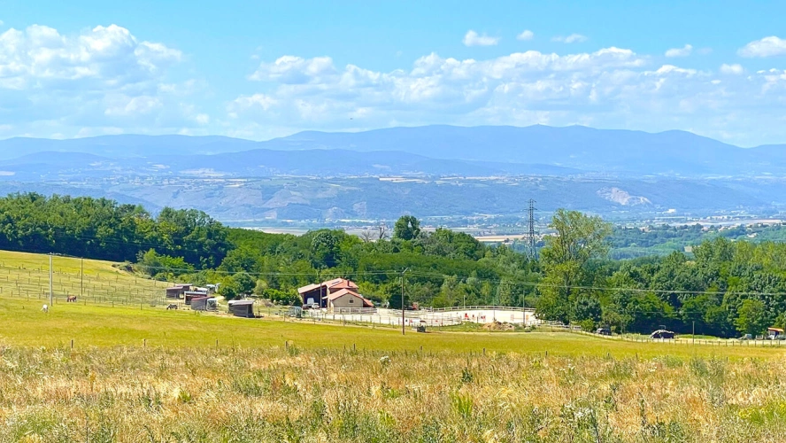 Photos 3 - Équestre - Domaine équestre de 15 hectares avec gîtes