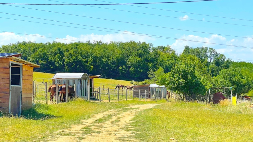 Photos 7 - Équestre - Domaine équestre de 15 hectares avec gîtes