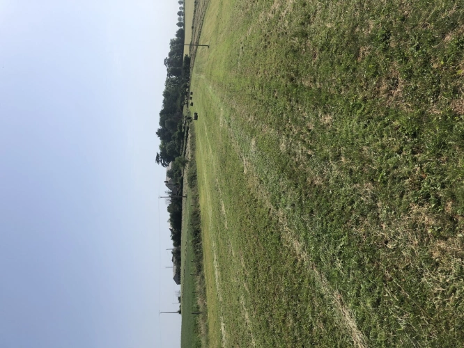 Photos 10 - Agricole - Exploitation agricole avec agro-tourisme
