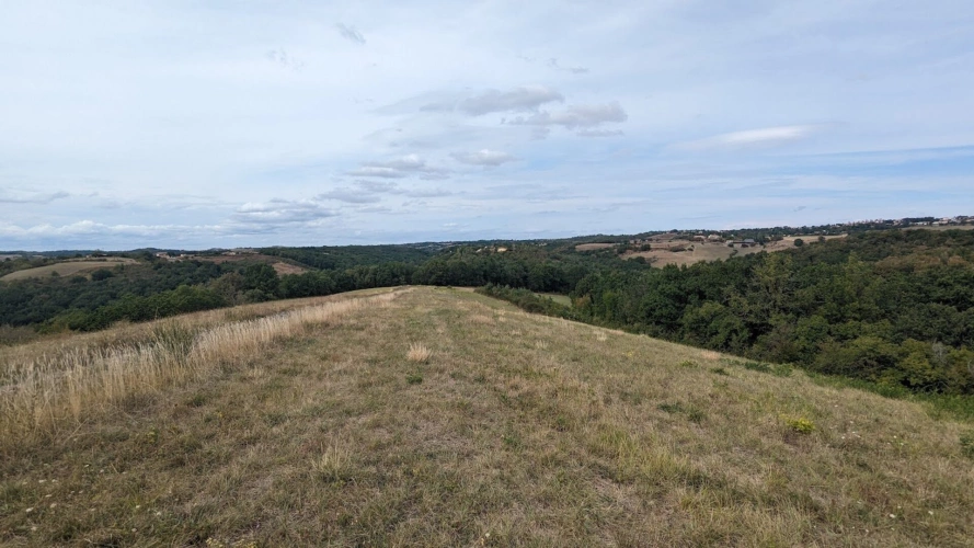 Photos 2 - Foncière - Terrain non constructible