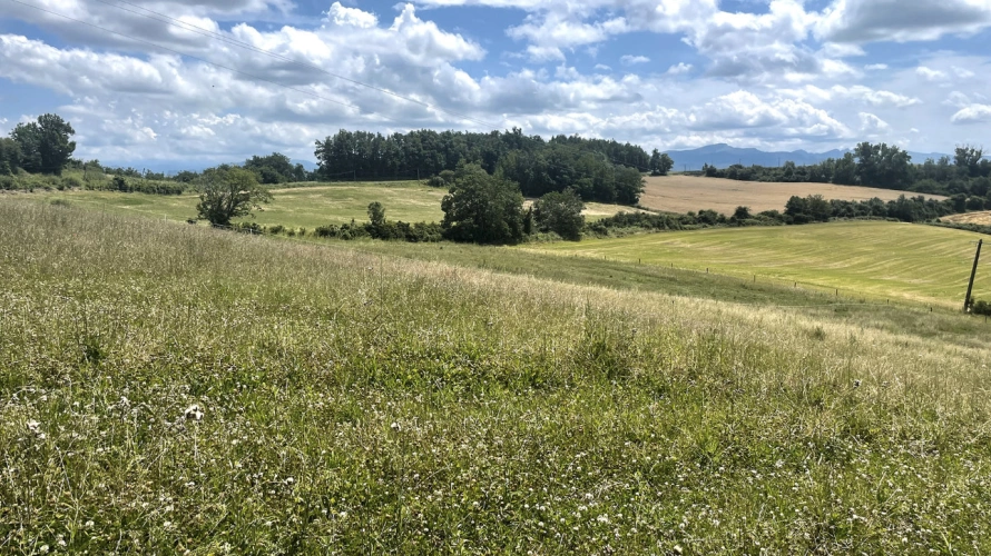 Photos 9 - Équestre - Belle propriété sur 3 hectares