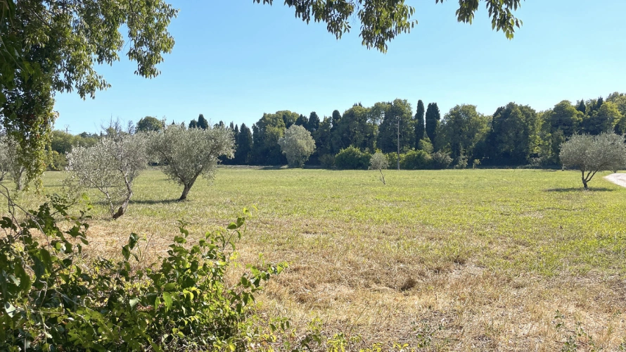 Photos 7 - Équestre - Proche Salon de Provence - Domaine agricole sur près de 3 hectares