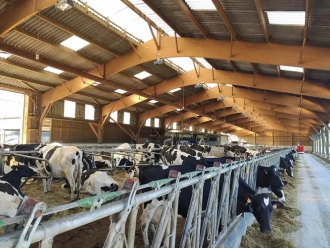 Photos 1 - Agricole - EXPLOITATION LAITIERE DE 150 HECTARES