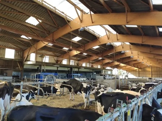 Photos 2 - Agricole - EXPLOITATION LAITIERE DE 150 HECTARES