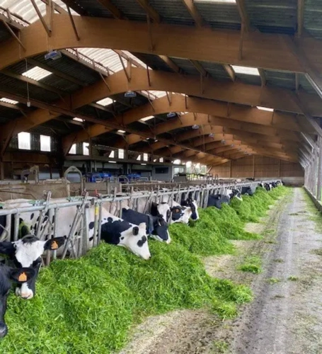 Photos 4 - Agricole - EXPLOITATION LAITIERE DE 150 HECTARES