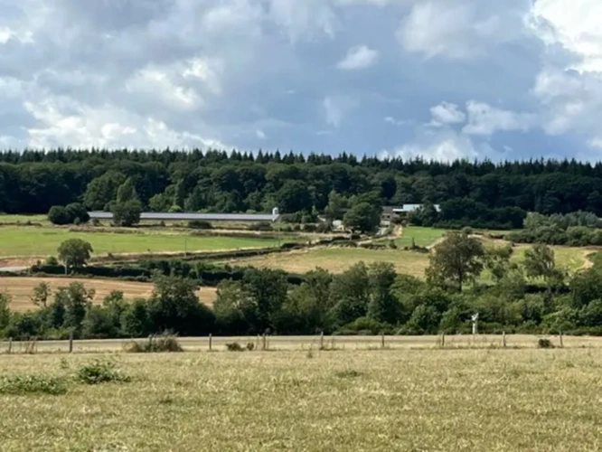 Photos 2 - Agricole - SARTHE - EXPLOITATION AVICOLE SUR 50 HECTARES