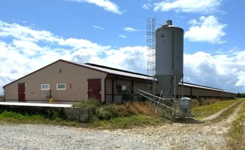 Photos 3 - Agricole - SARTHE - EXPLOITATION AVICOLE SUR 50 HECTARES
