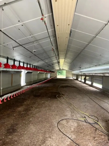 Photos 4 - Agricole - SARTHE - EXPLOITATION AVICOLE SUR 50 HECTARES