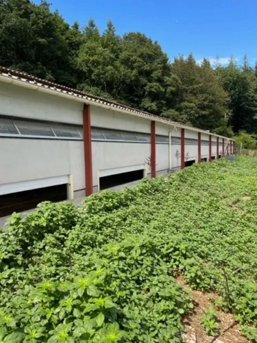 Photos 5 - Agricole - SARTHE - EXPLOITATION AVICOLE SUR 50 HECTARES