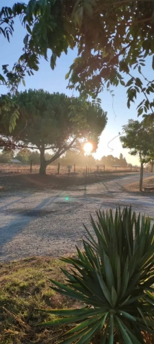 Photos 3 - Équestre - Sur plus de 14 hectares, important rendement locatif pour cet ensemble immobilier comprenant  plusieurs bâtiments à usage professionnel ainsi qu'une maison d'habitation