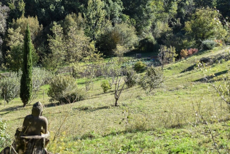 Photos 10 - Touristique - Propriété