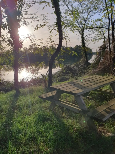 Photos 12 - Agricultural - Near Montauban Tarn et Garonne Farmhouse 1.50ha irrigated