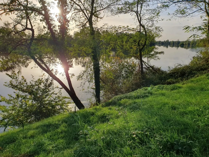 Photos 13 - Agricultural - Near Montauban Tarn et Garonne Farmhouse 1.50ha irrigated