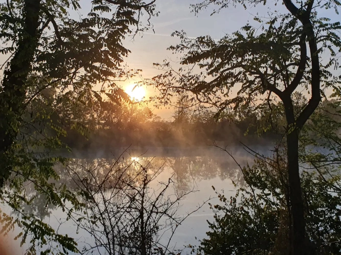 Photos 14 - Agricultural - Near Montauban Tarn et Garonne Farmhouse 1.50ha irrigated