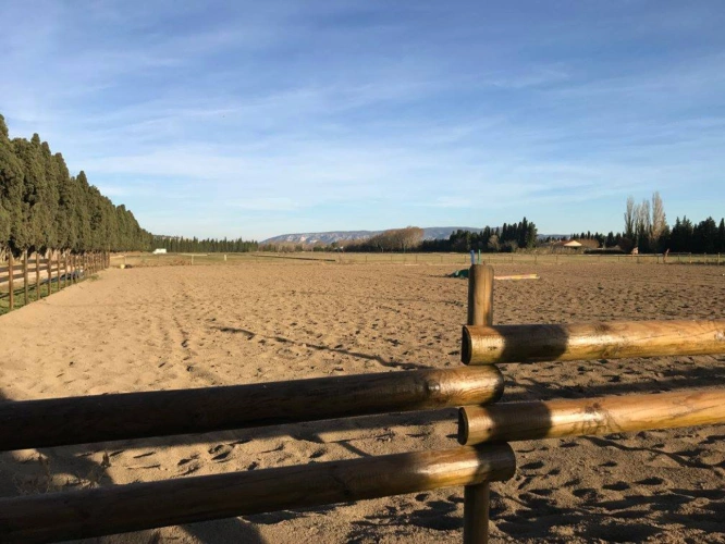 Photos 11 - Equestrian - Splendid stud farm in Provence