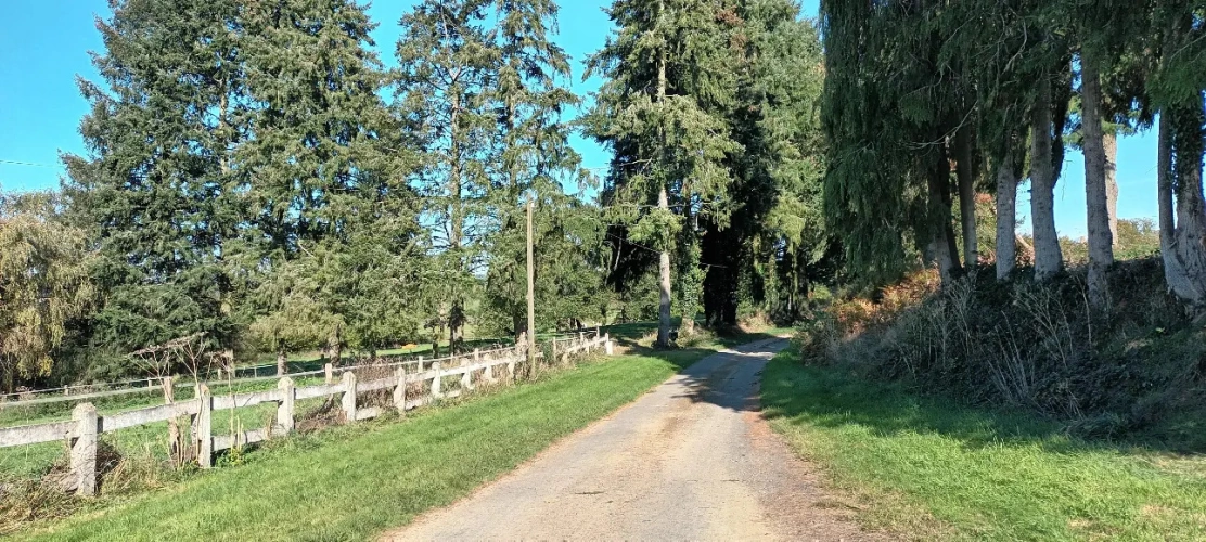 Photos 3 - Équestre - Belle propriété d'élevage ou entraînement sur 29ha dans un environnement magnifique