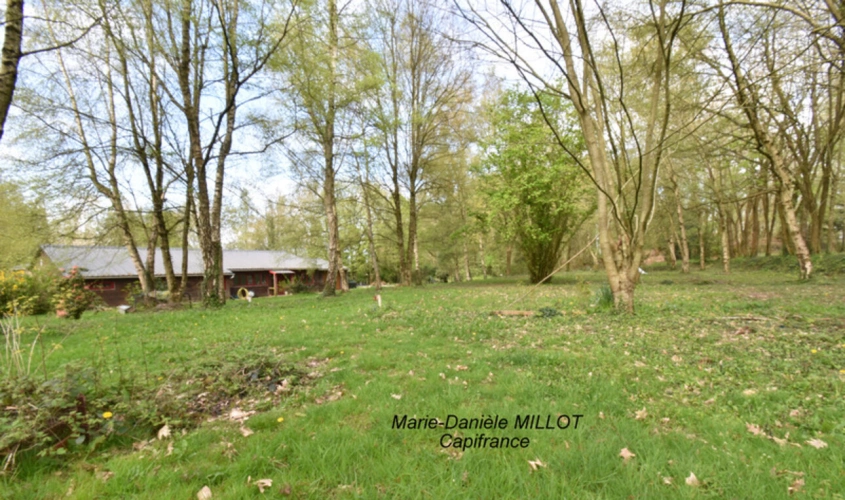 Photos 7 - Tourist - Dpt Mayenne (53), à vendre Propriété de 220 M²  avec son parc boisé et étangs à 7 minutes de  LASSAY LES CHATEAUX