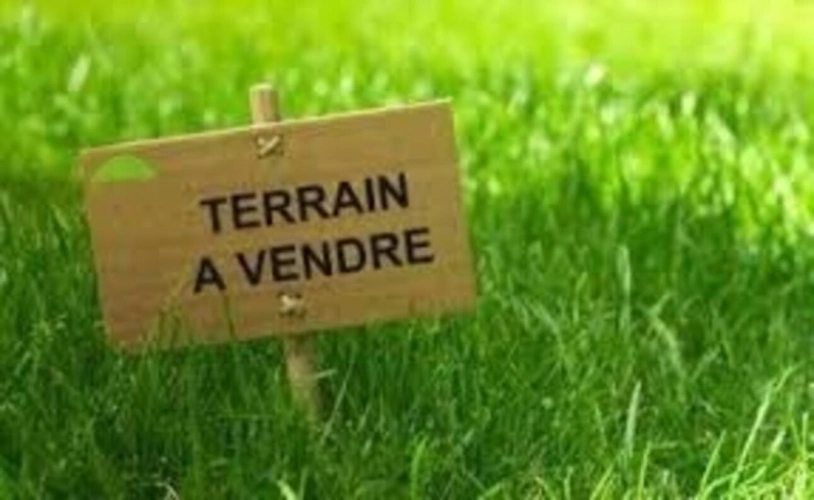 Photos 1 - Foncière - Dpt Guyane (973), à vendre SINNAMARY terrain