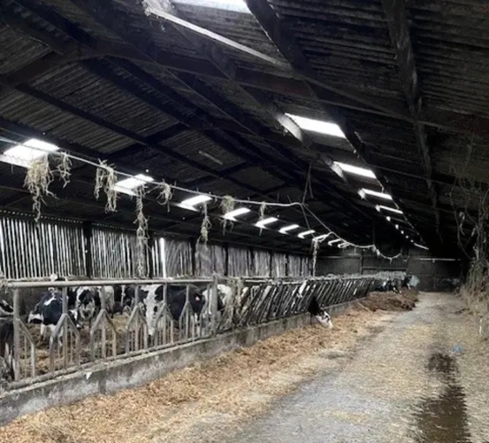 Photos 3 - Agricole - BRETAGNE – COTES D’ARMOR - EXPLOITATION AGRICOLE D’ENVIRON 100 HECTARES.