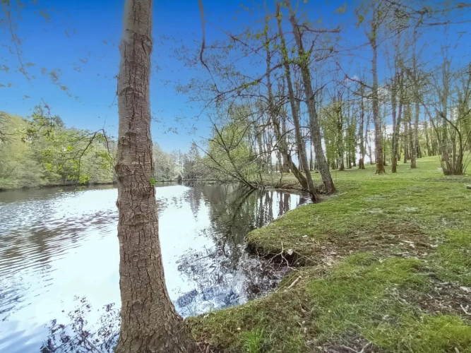 Photos 4 - Équestre - En forêt de Rambouillet, grande maison avec écurie et 10ha