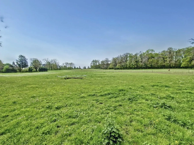 Photos 6 - Équestre - En forêt de Rambouillet, grande maison avec écurie et 10ha