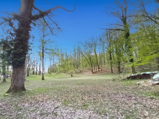 Photos 7 - Équestre - En forêt de Rambouillet, grande maison avec écurie et 10ha