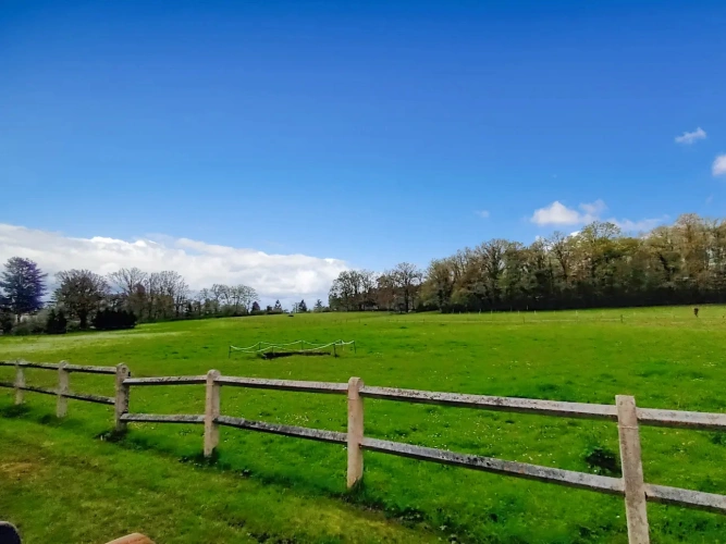 Photos 8 - Équestre - En forêt de Rambouillet, grande maison avec écurie et 10ha