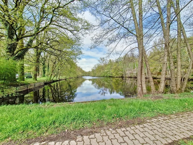 Photos 11 - Équestre - En forêt de Rambouillet, grande maison avec écurie et 10ha