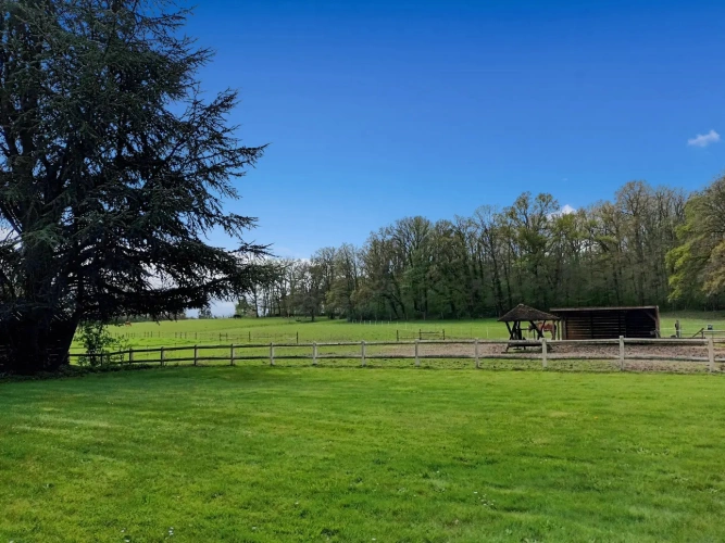 Photos 12 - Équestre - En forêt de Rambouillet, grande maison avec écurie et 10ha