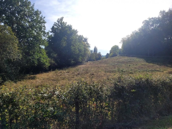 Photos 11 - Équestre - Terrain de loisir