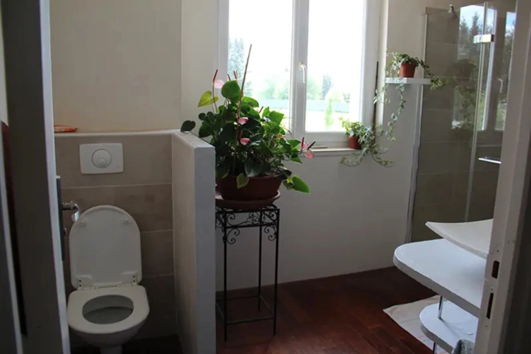 Photos 4 - Agricole - Maison d'habitation et partie élevage canin