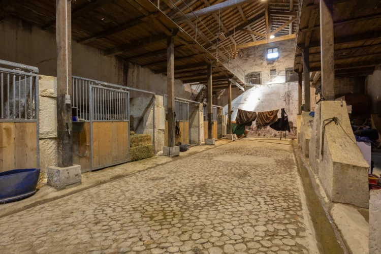Photos 9 - Équestre - Proche Arles - Splendide Mas Rénové