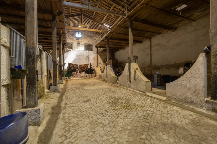 Photos 11 - Équestre - Proche Arles - Splendide Mas Rénové